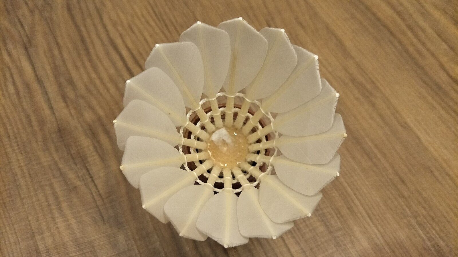 Close-up of a badminton shuttlecock's cork base and feather skirt seen from below, resting on a wooden surface.