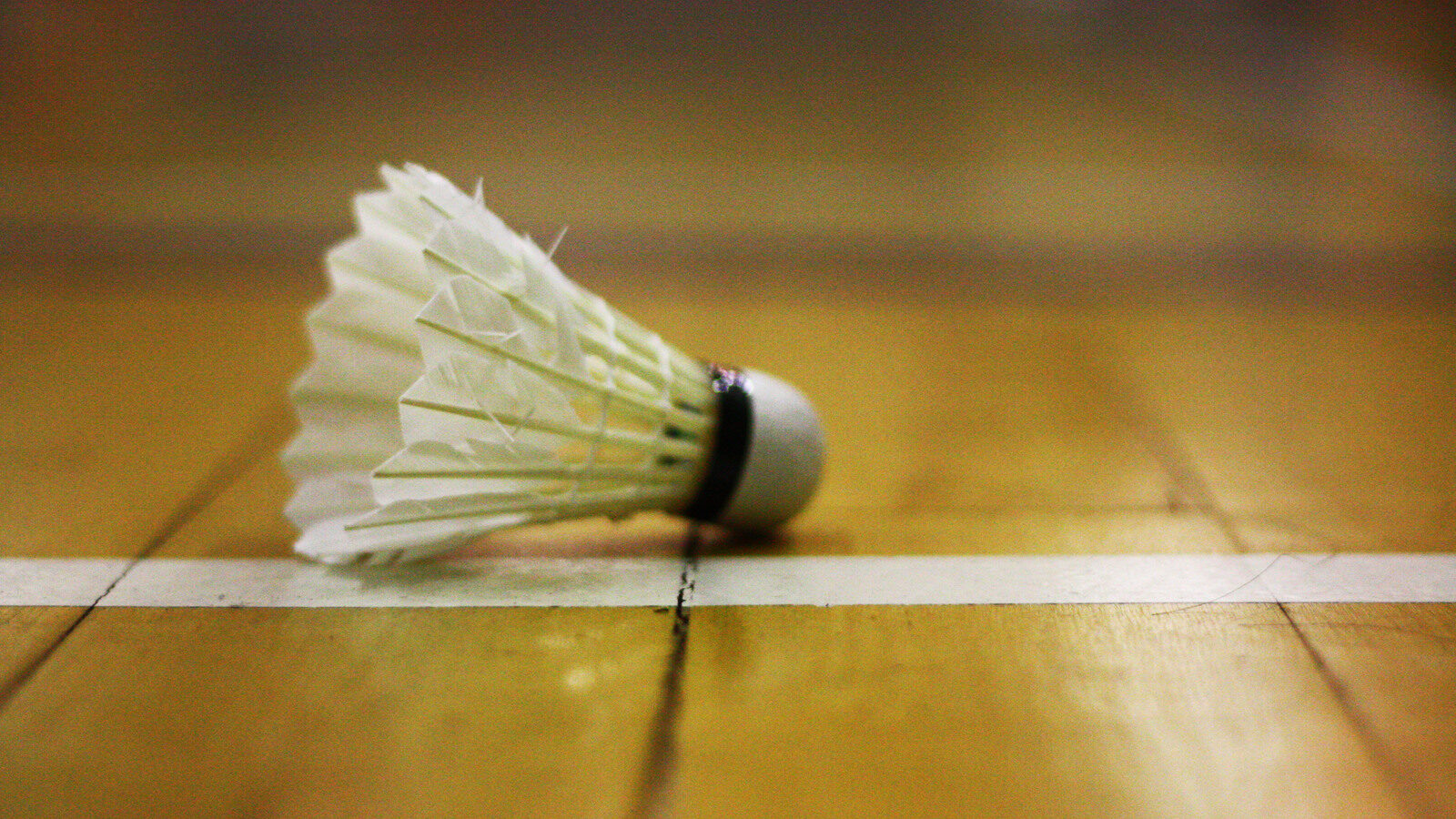 Gros plan sur un volant de badminton posé sur le côté, directement sur une ligne blanche de délimitation d’un terrain intérieur en bois; ses plumes sont déployées et la ligne passe sous sa base.