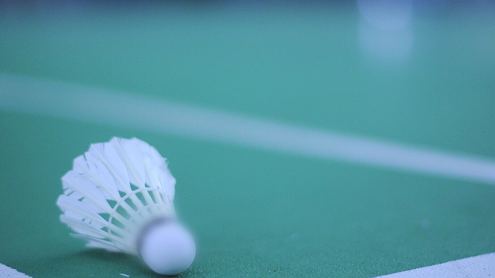 Un volant de badminton repose directement sur une ligne de délimitation d’un terrain intérieur, comme lors d’un atterrissage limite dont l’appel de ligne fait l’objet d’un challenge.