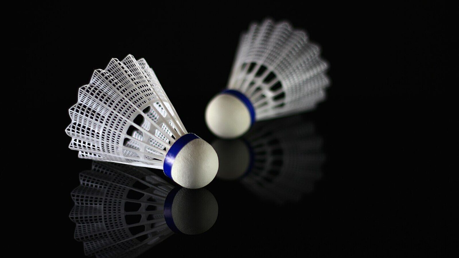 Deux volants de badminton blancs en plumes, avec des bouchons bleus en liège, reposent sur une surface sombre réfléchissante.