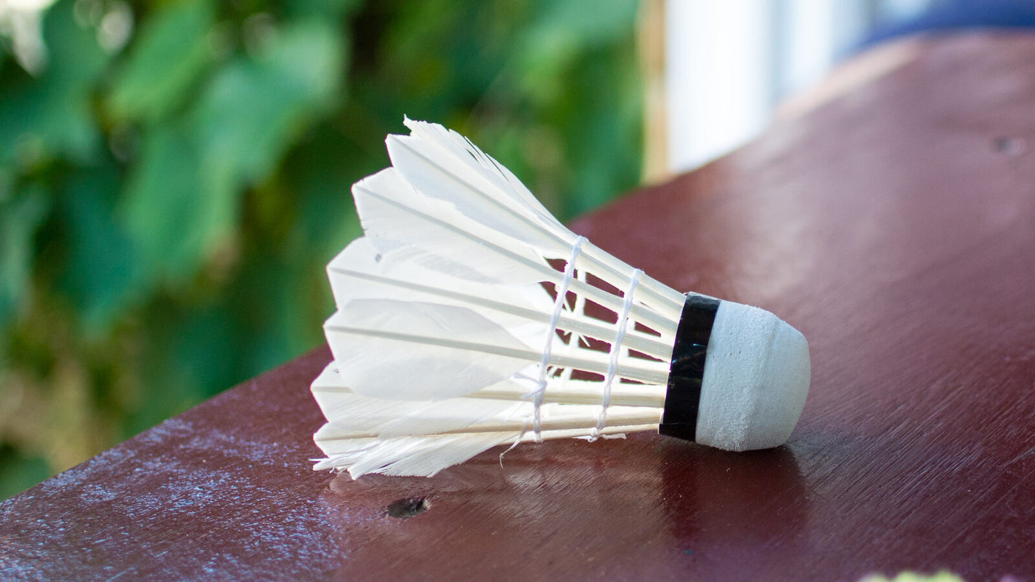 Gros plan d’un volant de badminton en plumes, le projectile en liège et plumes derrière chaque record de vitesse de smash présenté dans ce guide.