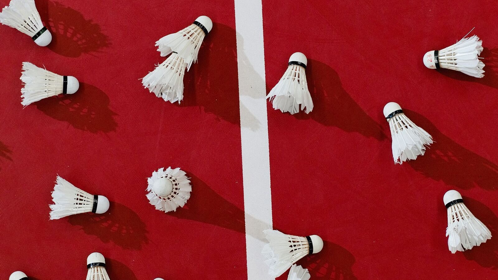 Volants de badminton en plumes éparpillés sur un sol de terrain rouge, de part et d’autre d’une ligne blanche.